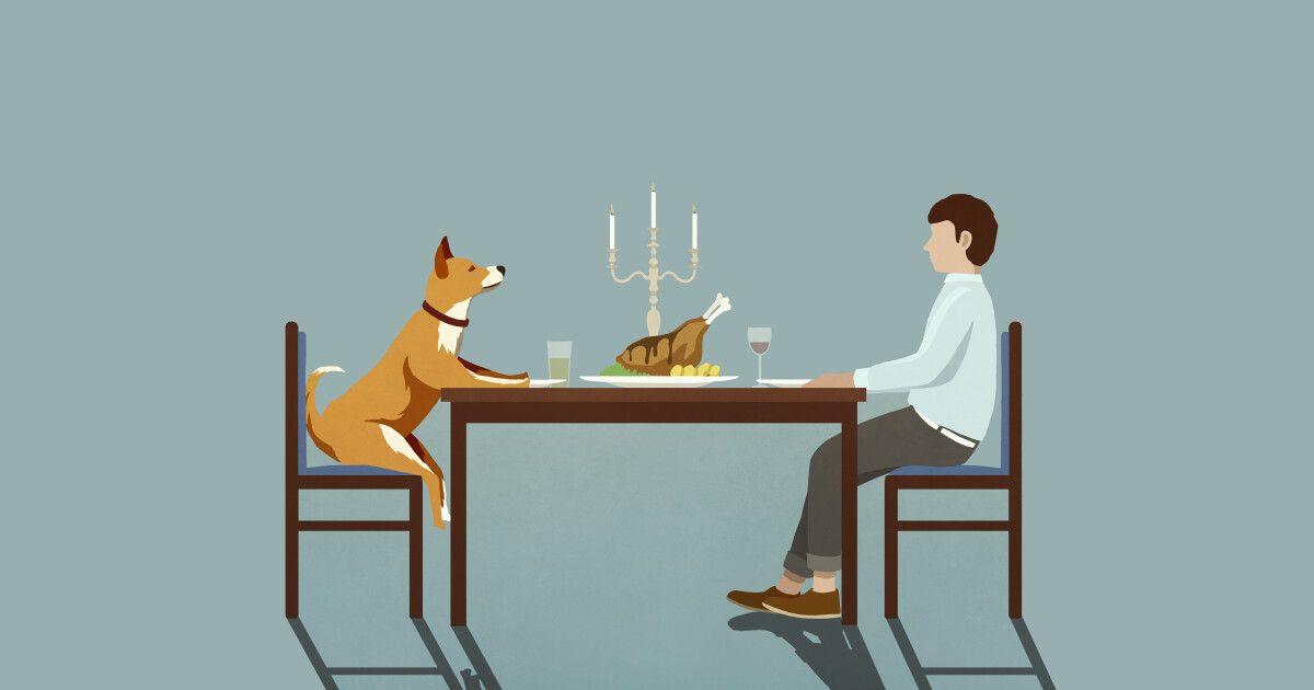 Lắng nghe bản thân trong dòng chảy cuộc sống